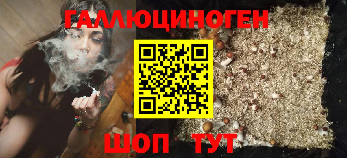 Псилоцибиновые грибы Cubensis  Галлюциногенные грибы Psilocybe  Вход с VPN  Южно-Сахалинск 